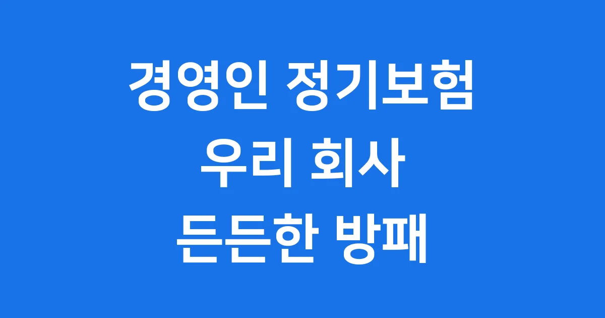 경영인 정기보험